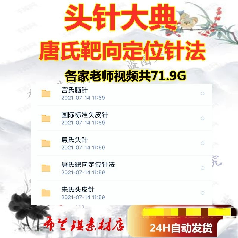 唐氏头针宫氏焦氏唐政夫唐氏靶向定位针法各家老师视频头针大典